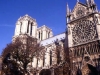 notre dame n